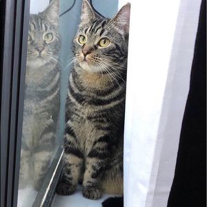 Meet your Posher, Alexandria